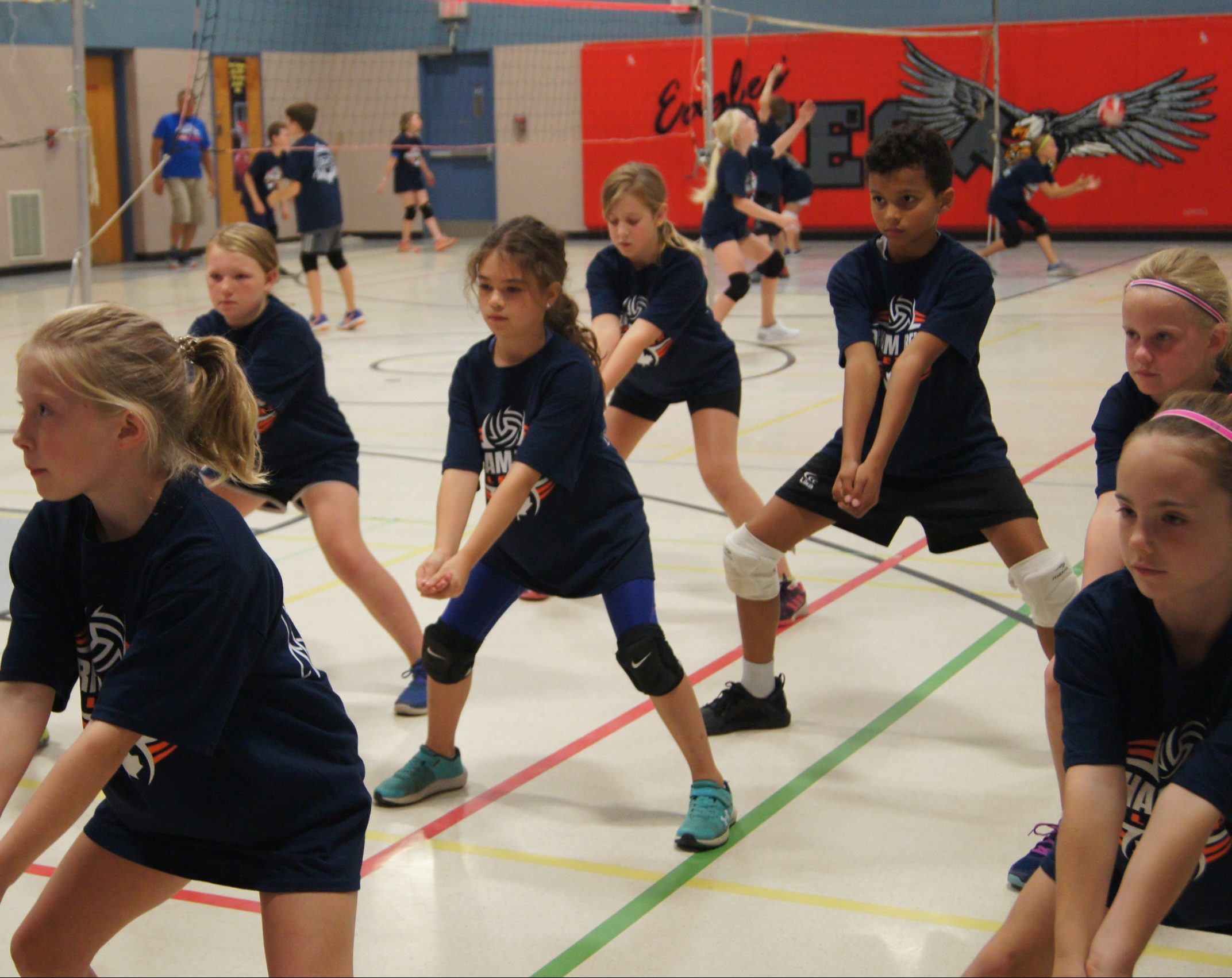 Learn to Play Volleyball